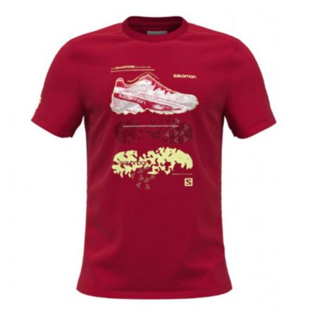 Salomon Outlife Graphic Tee férfi póló