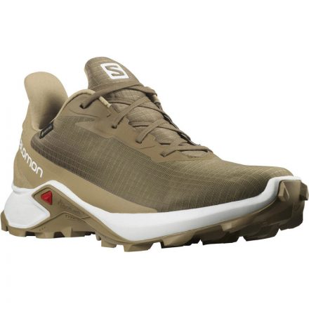 Salomon Alphacross 3 GTX férfi futócipő