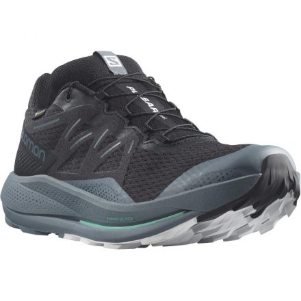 Salomon Pulsar Trail GTX férfi terepfutó cipő