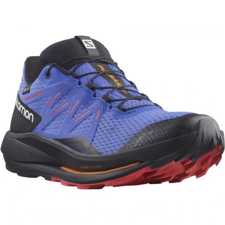 Salomon Pulsar Trail GTX férfi terepfutó cipő