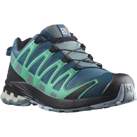 Salomon XA Pro 3D v8 GTX W női terepfutó cipő