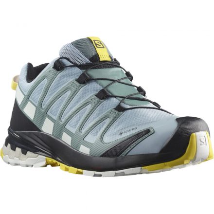 Salomon XA Pro 3D v8 GTX W női terepfutó cipő