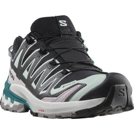 Salomon XA Pro 3D V9 GTX női terepfutó cipő