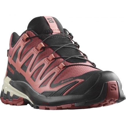 Salomon XA Pro 3D V9 GTX női terepfutó cipő