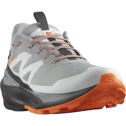 Salomon Elixir Activ GTX férfi túracipő