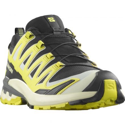 Salomon XA Pro 3D V9 GTX férfi terepfutó cipő