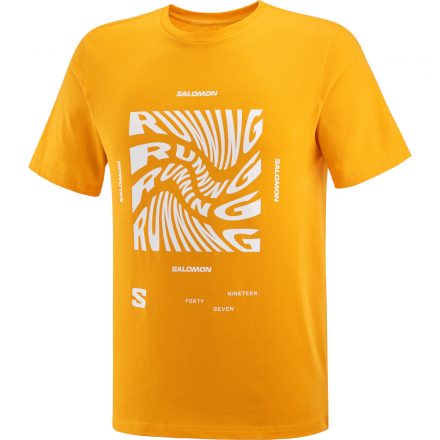 Salomon Running Graphic SS Tee férfi póló