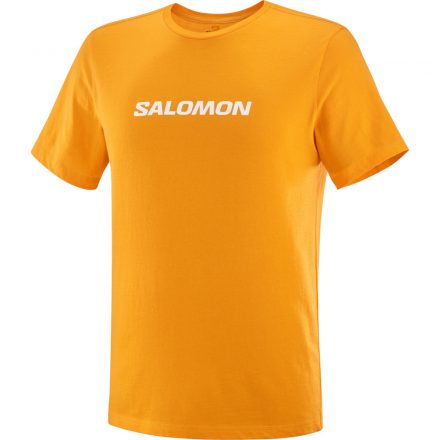 Salomon Sal Logo Perf SS Tee férfi póló