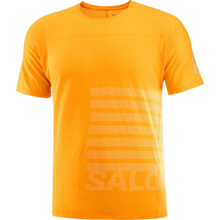 Salomon Sense Aero SS Tee GFX férfi futópóló